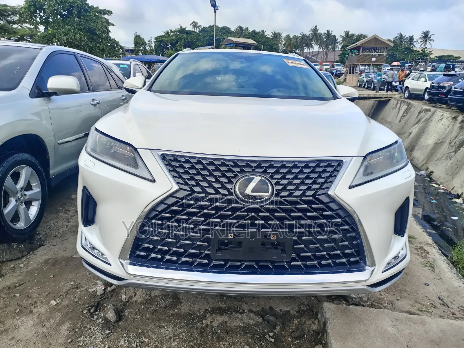 Lexus RX 2022 White