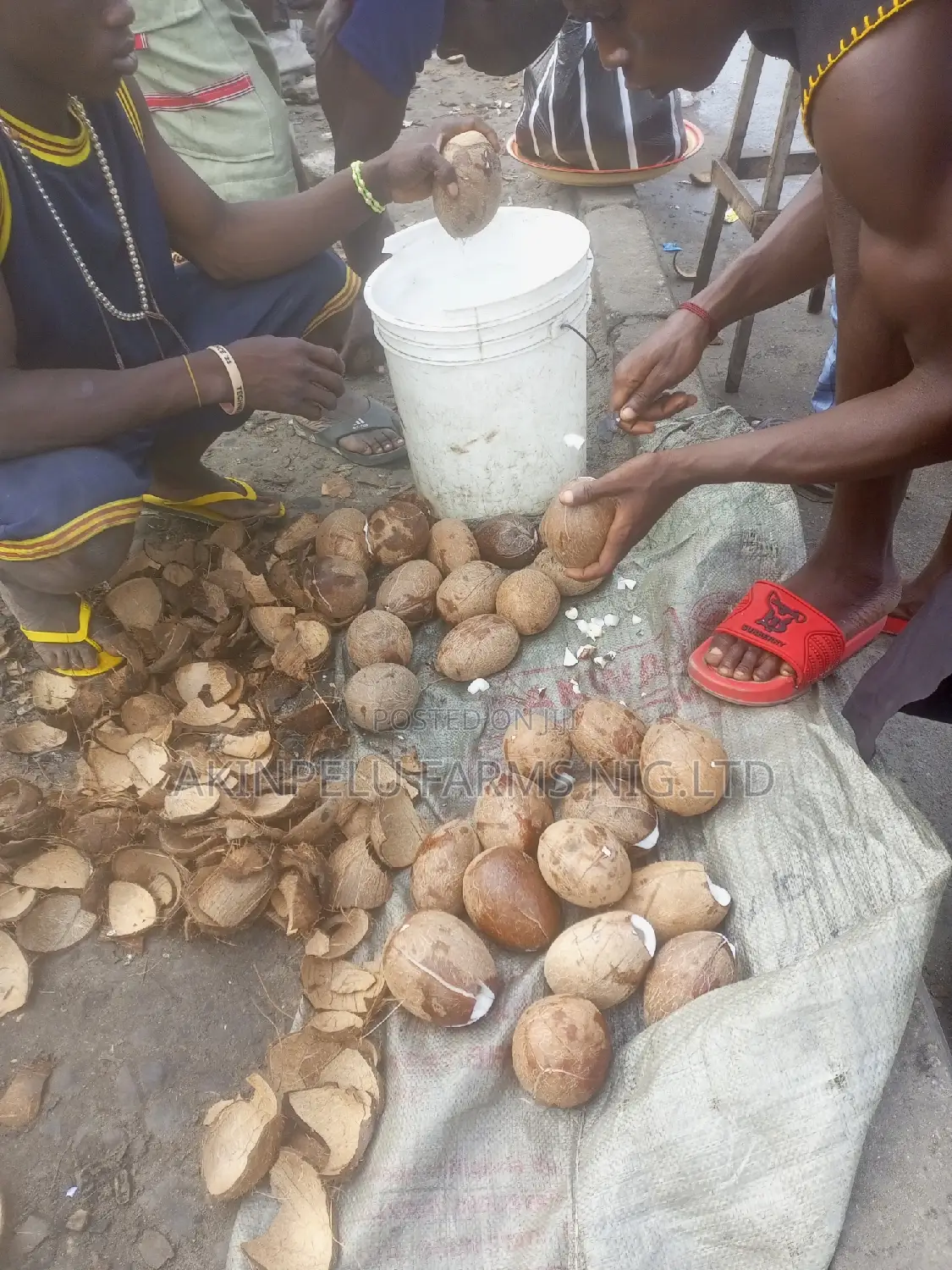 Pure Coconut Water