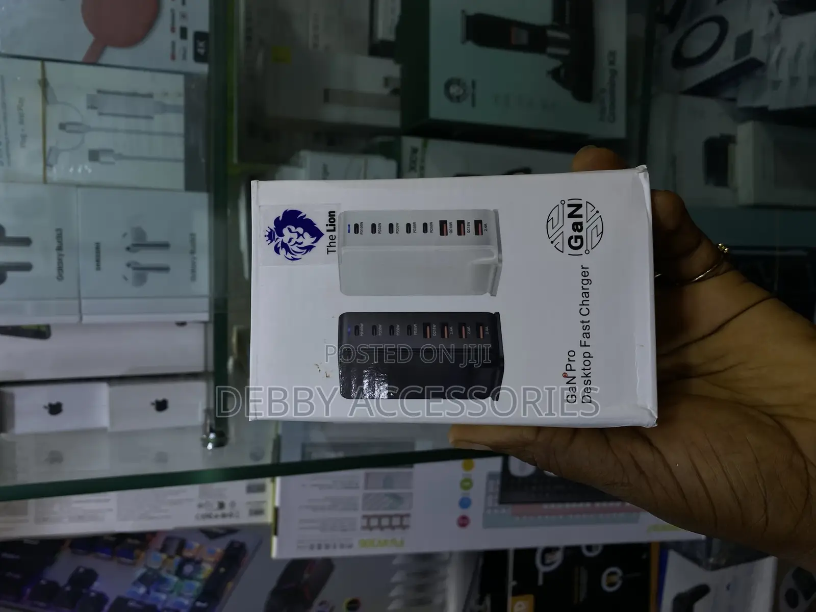 The Lion Gan Pro Desktop Fast Charger