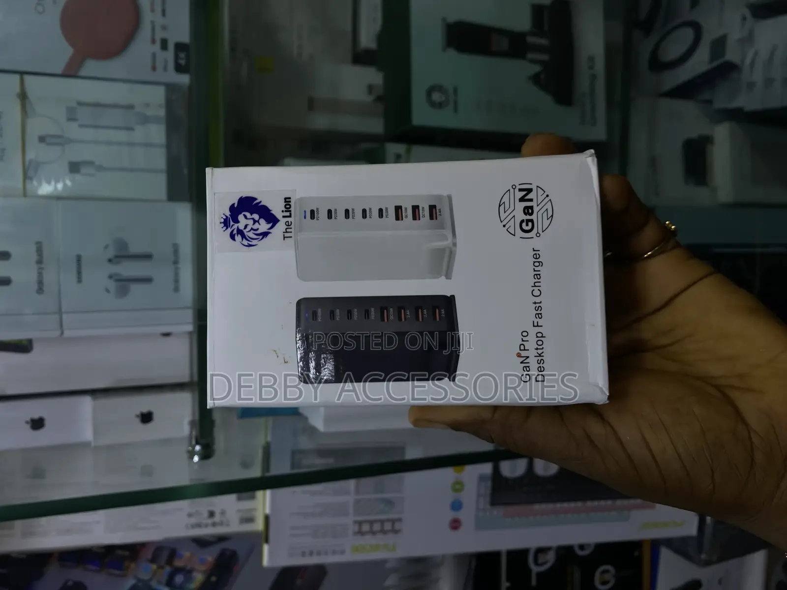 The Lion Gan Pro Desktop Fast Charger