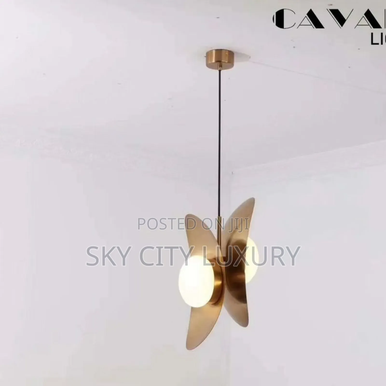 Brass Frosted Interoir Design Pendant Light