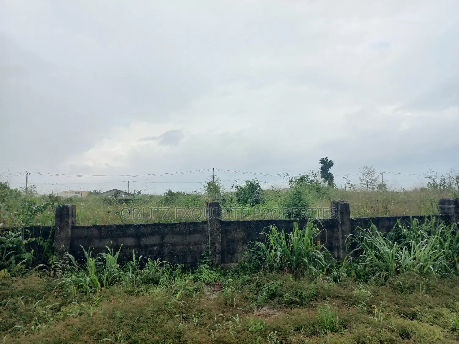 2 1⁄2 Plots of Land for Sale