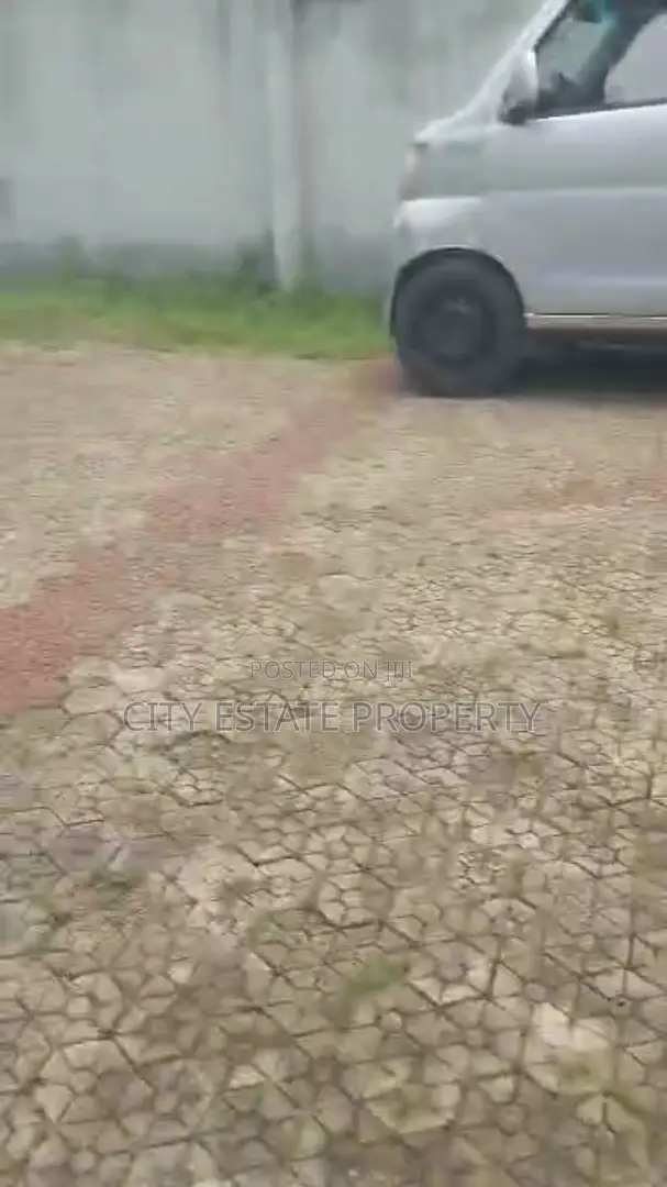 Sweet Standard 2 Plots of Land for Sale in Cocaine Estate PH