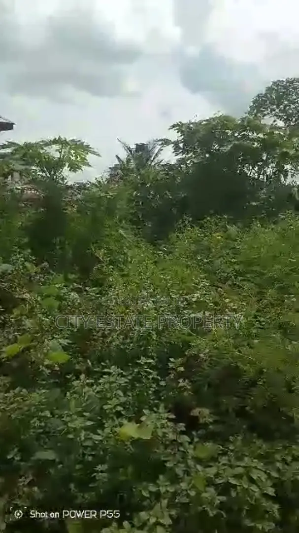 One Plot of Land for Sale in Ozuoba