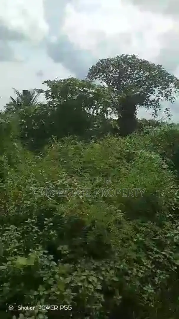One Plot of Land for Sale in Ozuoba