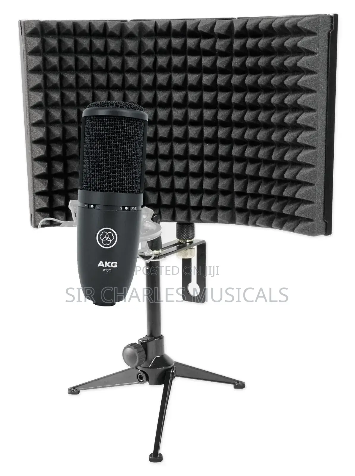 Akg P120 Original Condenser Microphone
