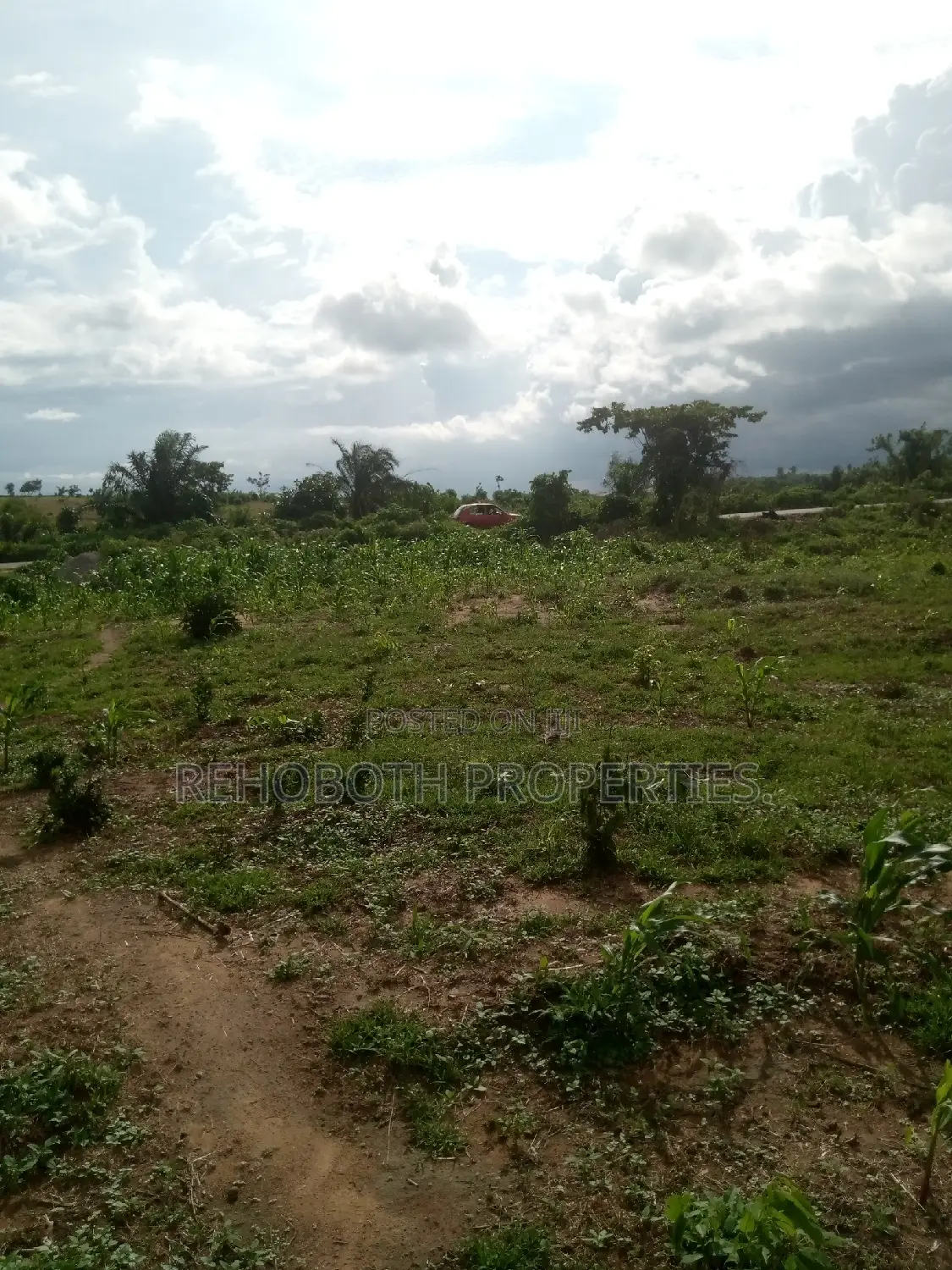 For Sales 5 and Half Acres of Farm Land .