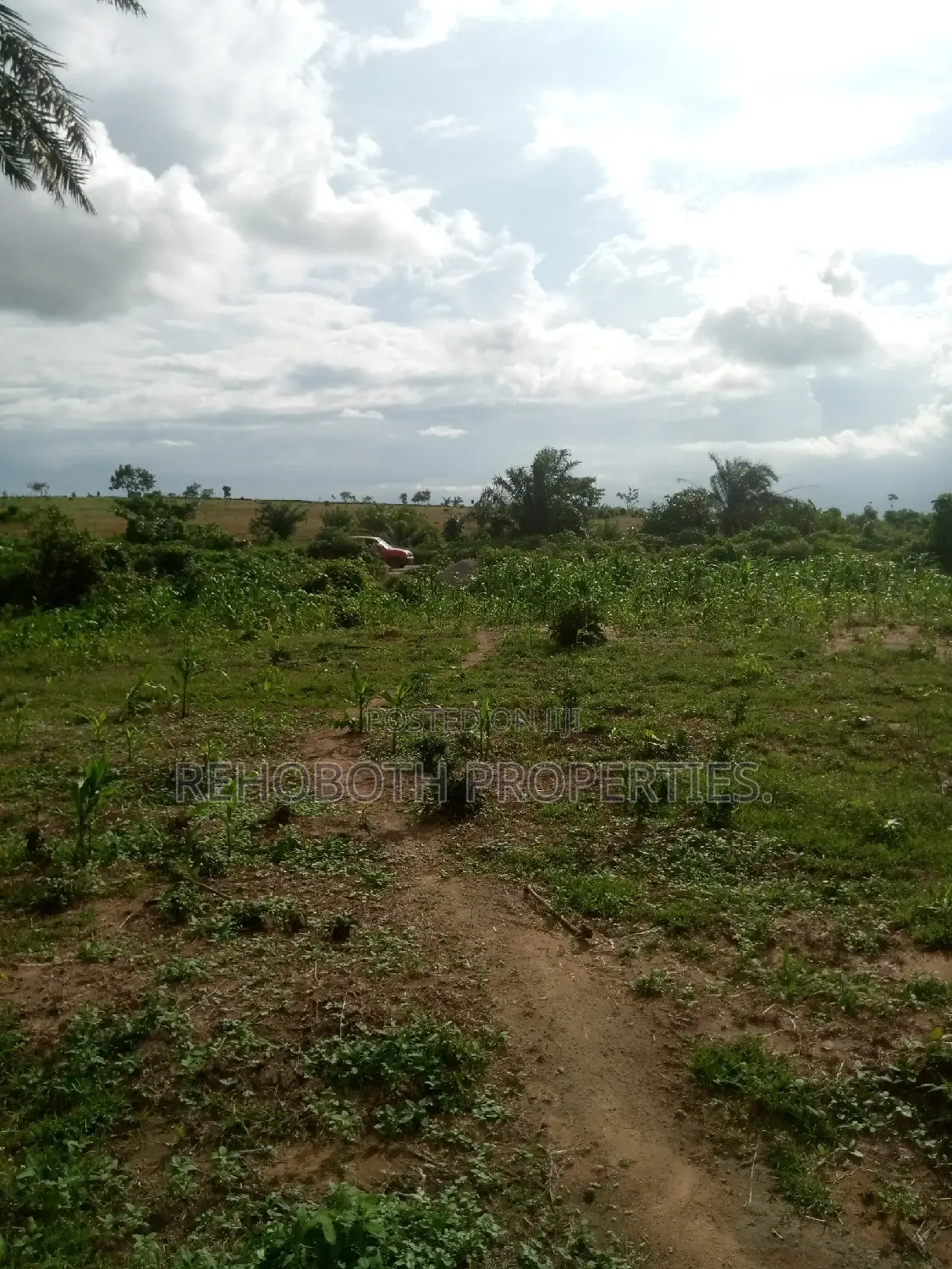 For Sales 5 and Half Acres of Farm Land .