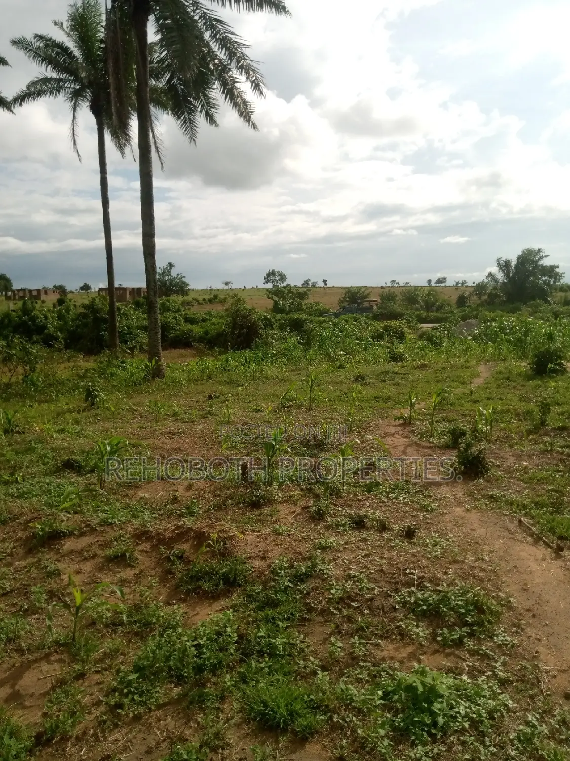 For Sales 5 and Half Acres of Farm Land .