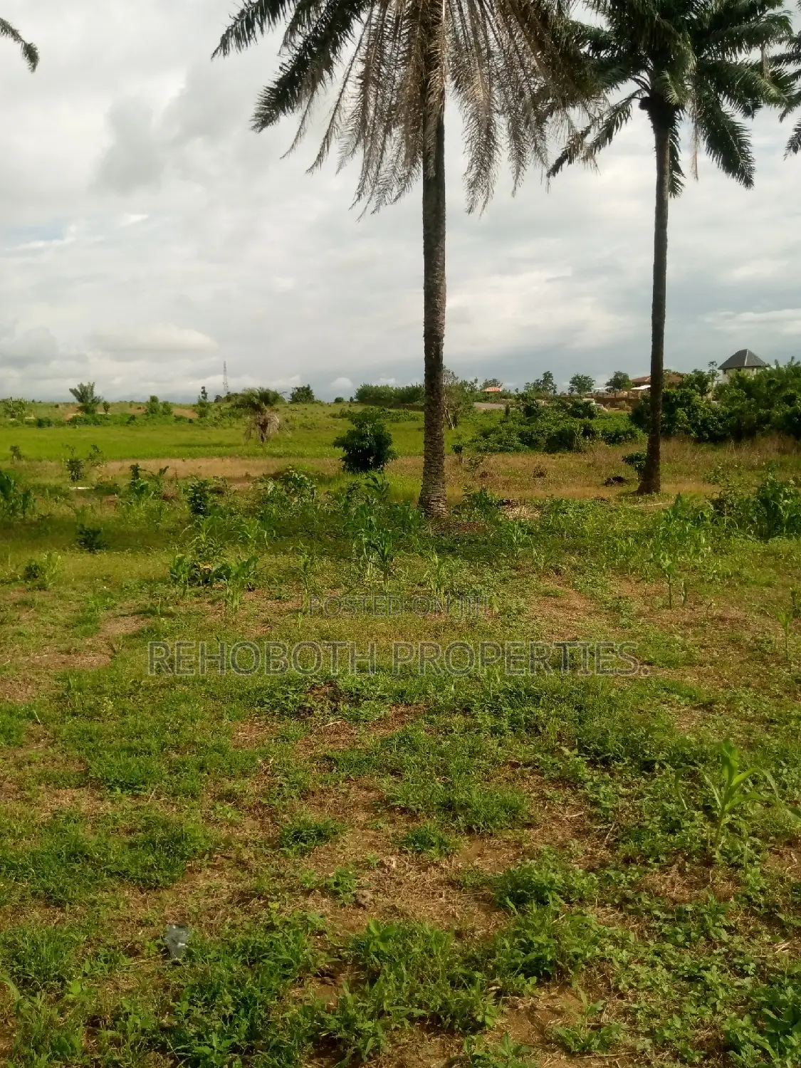 For Sales 5 and Half Acres of Farm Land .