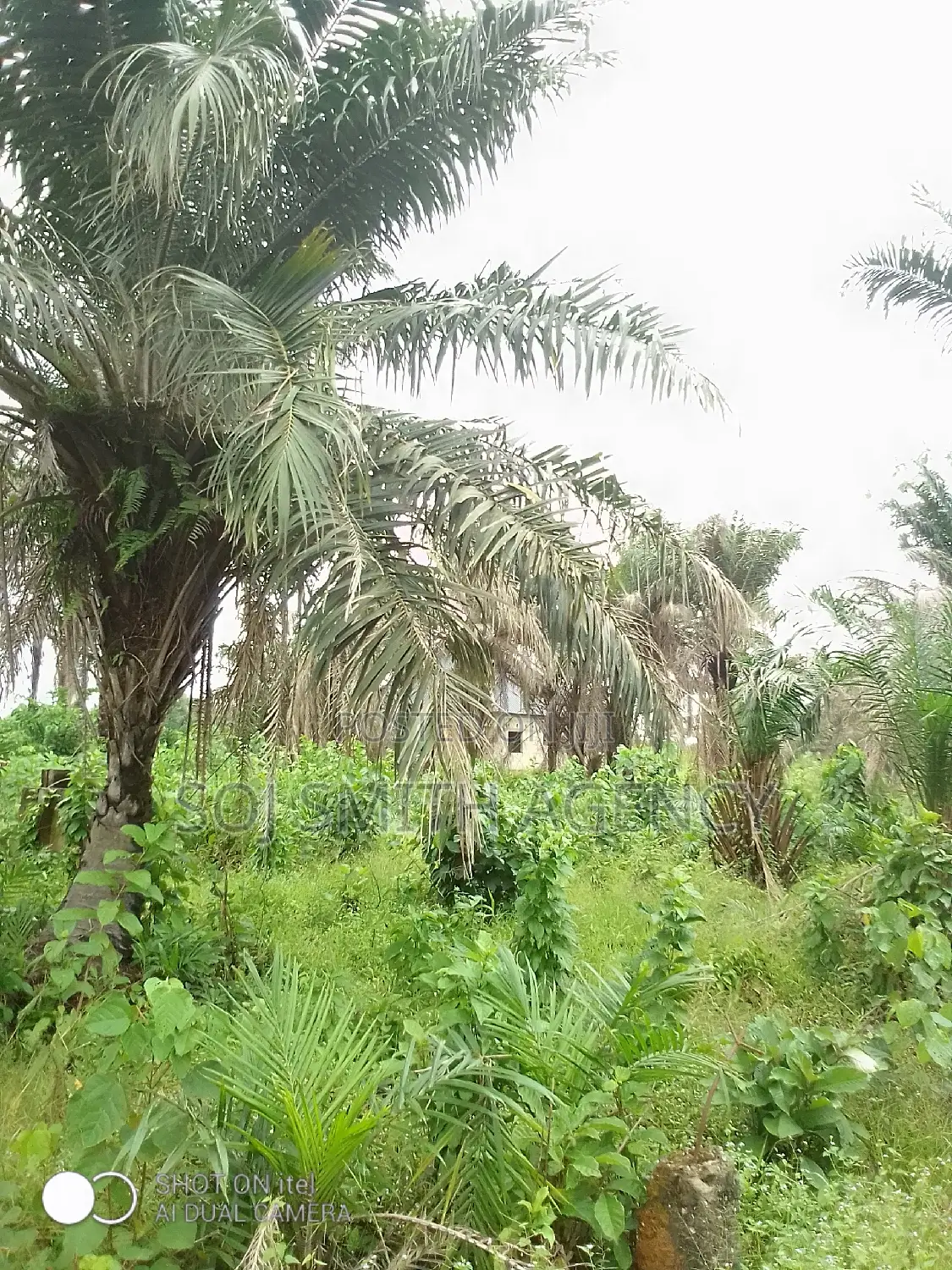One Acre of Land at Ijeagemo