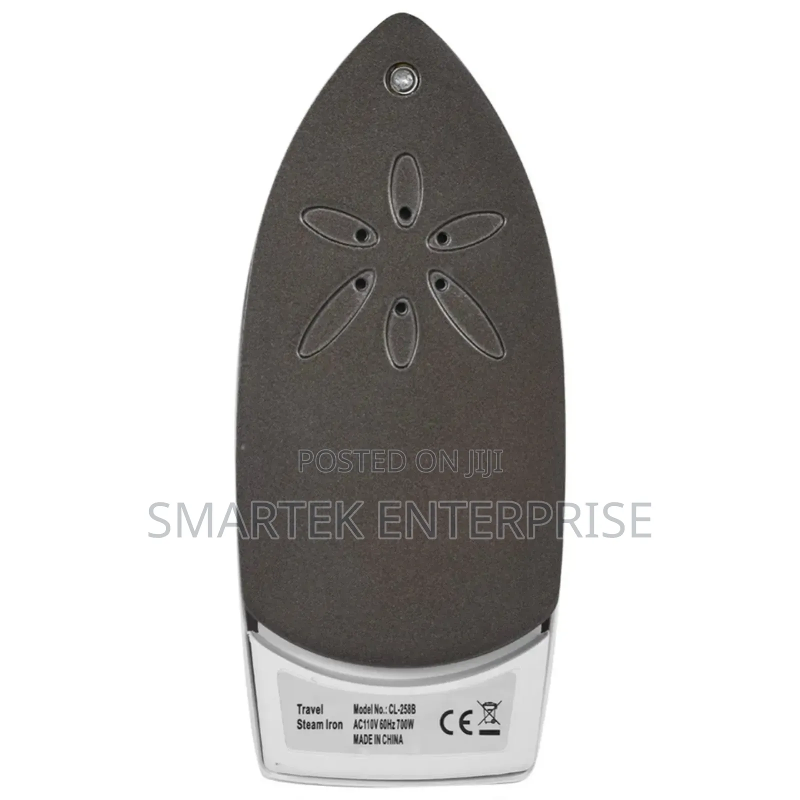 700W Electric Steam Iron for Home ,Travelling 220V