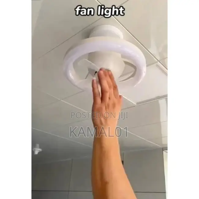 LED Light Fan