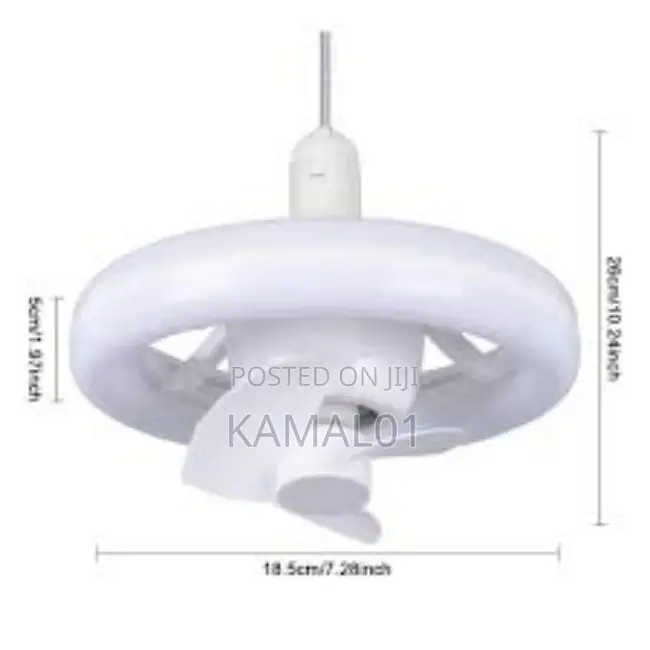 LED Light Fan