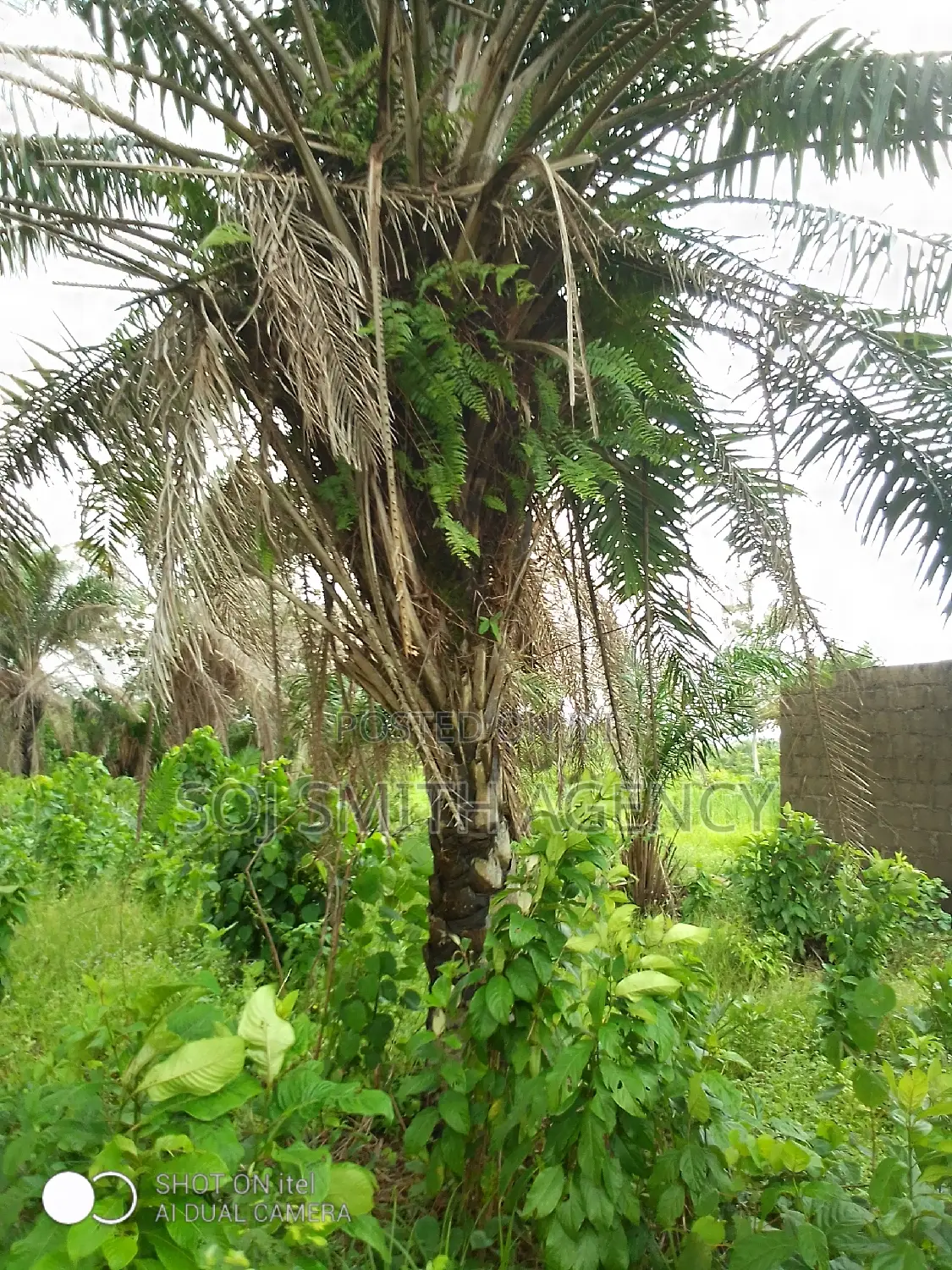 One Acre of Land at Ijeagemo