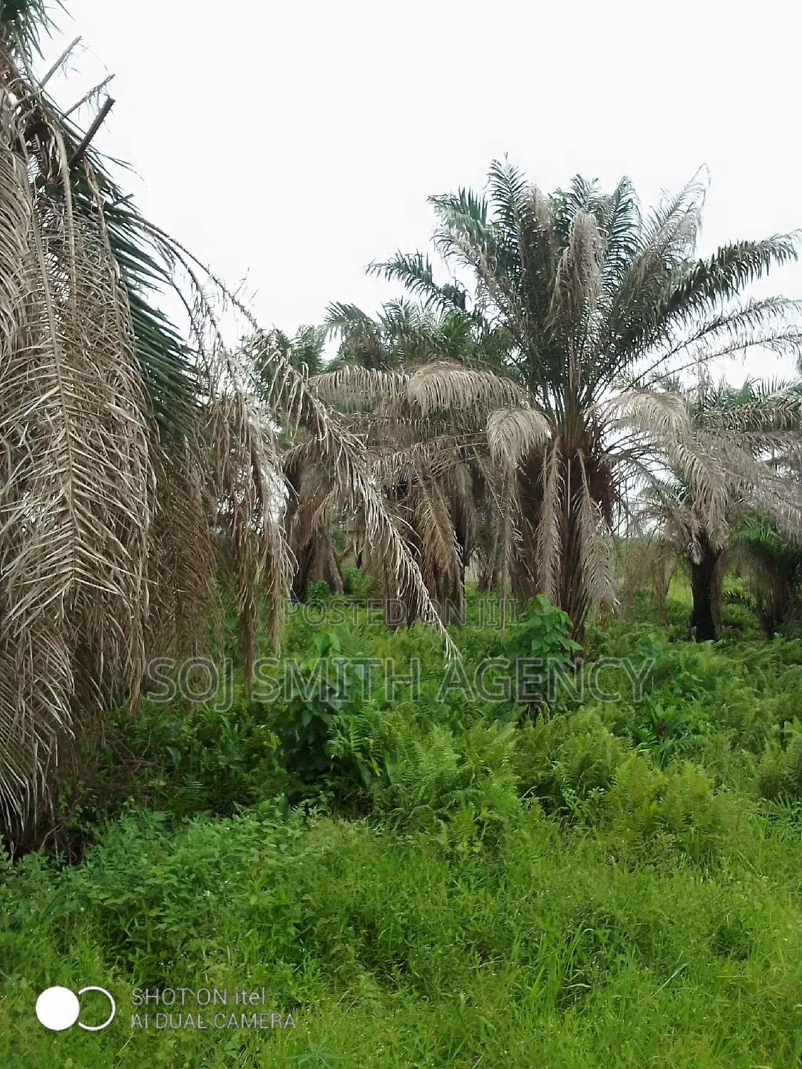 One Acre of Land at Ijeagemo