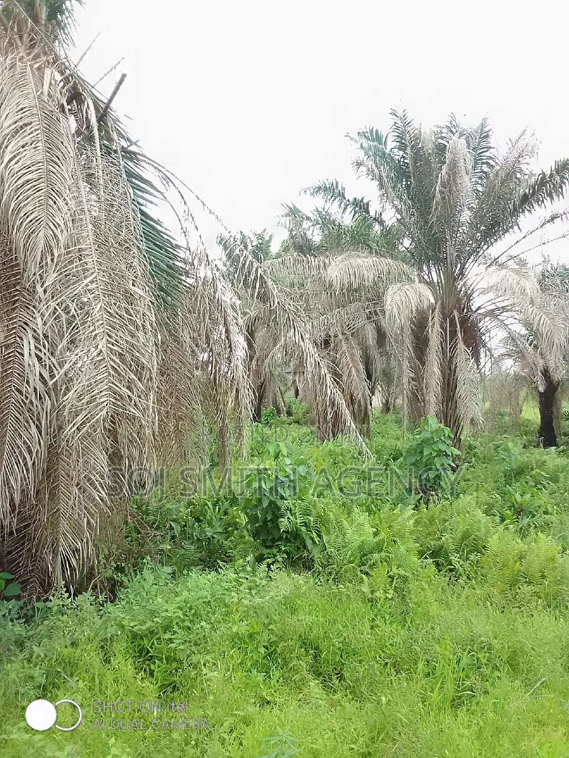 One Acre of Land at Ijeagemo