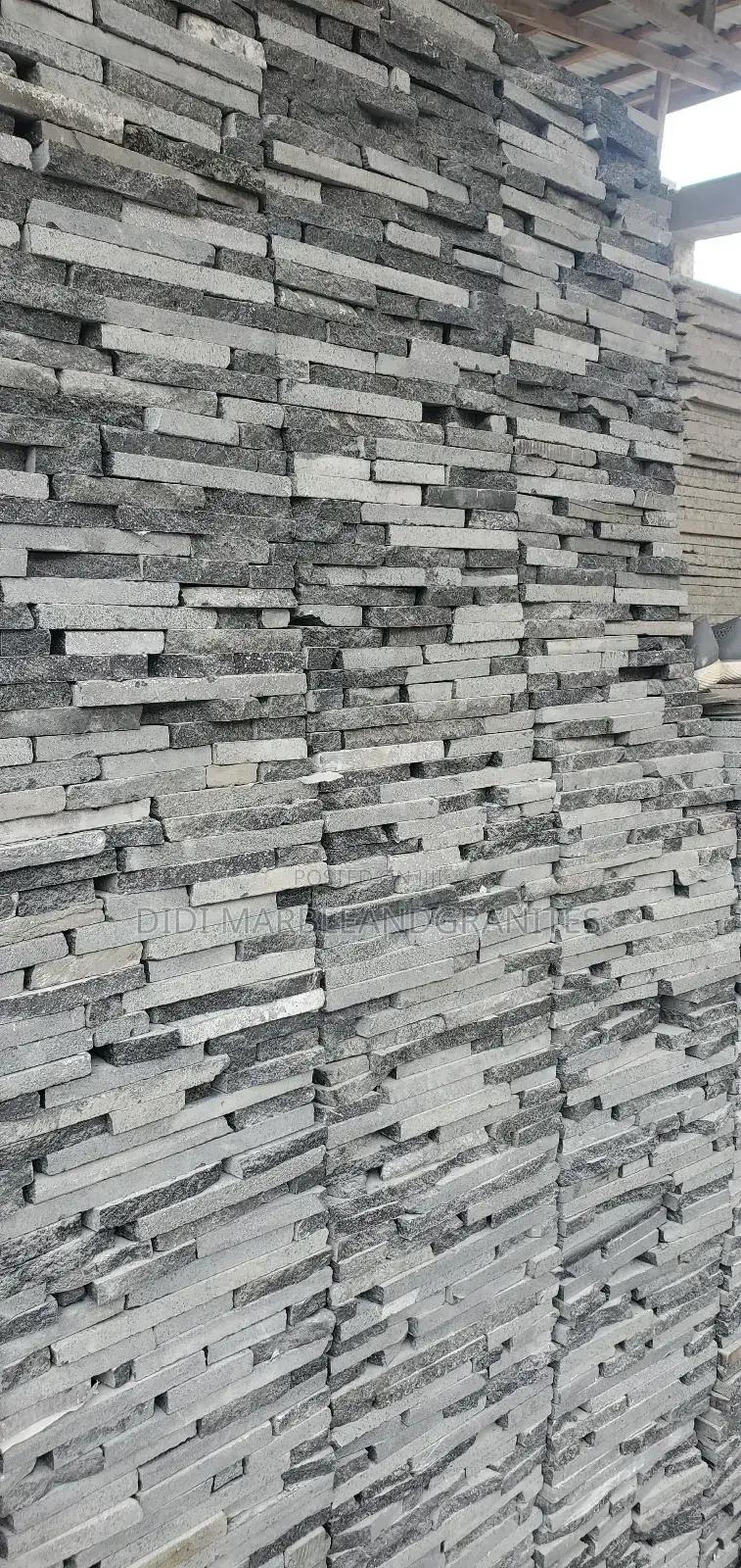 Black Paladina for Wall