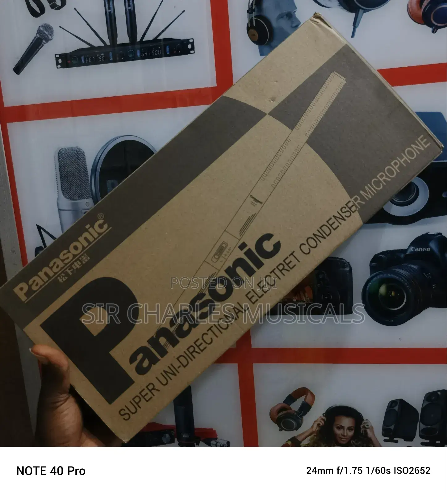 Panasonic Condenser Microphone Long One
