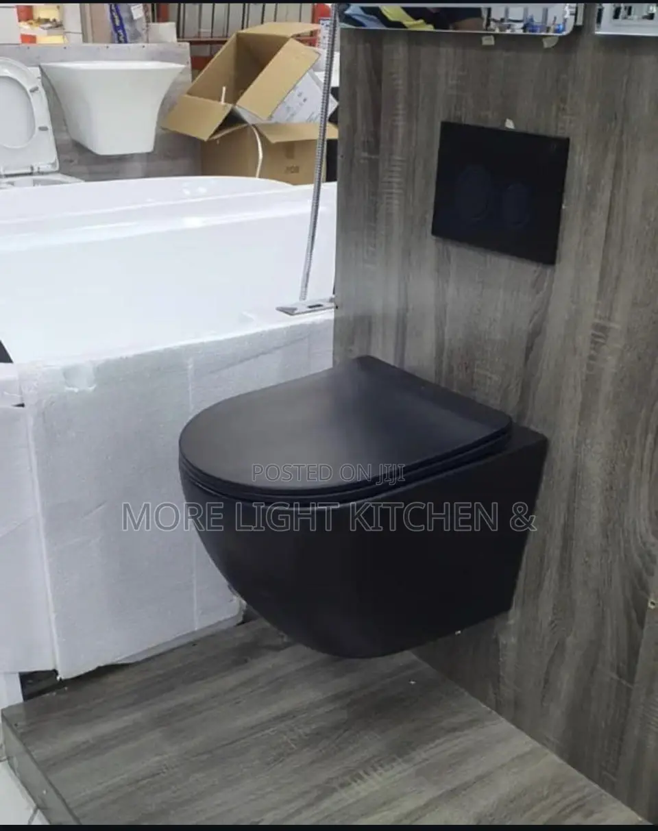 Black Egg Shape Water Closet