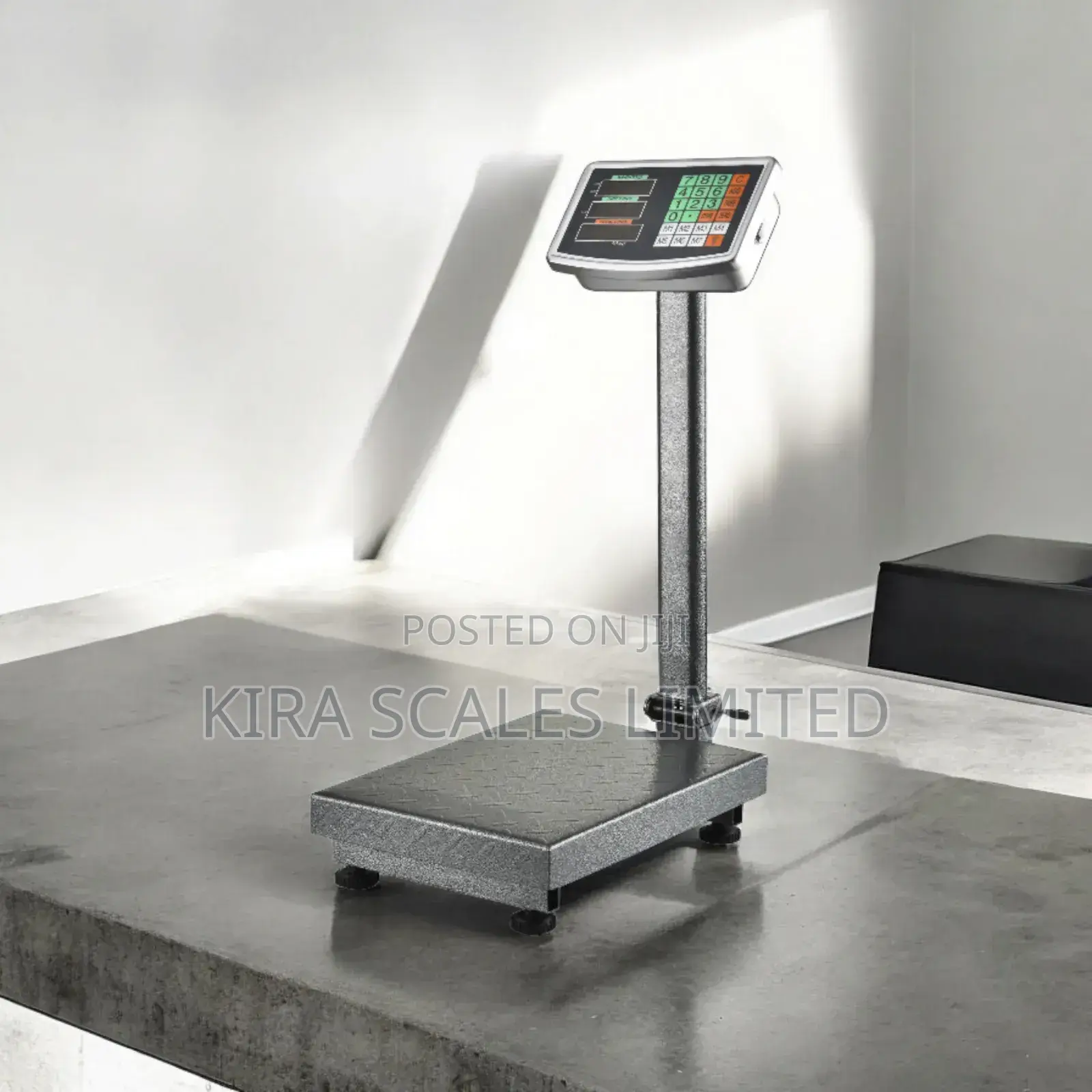High Quality Ricool Camry Digital Platform Scale 300kg