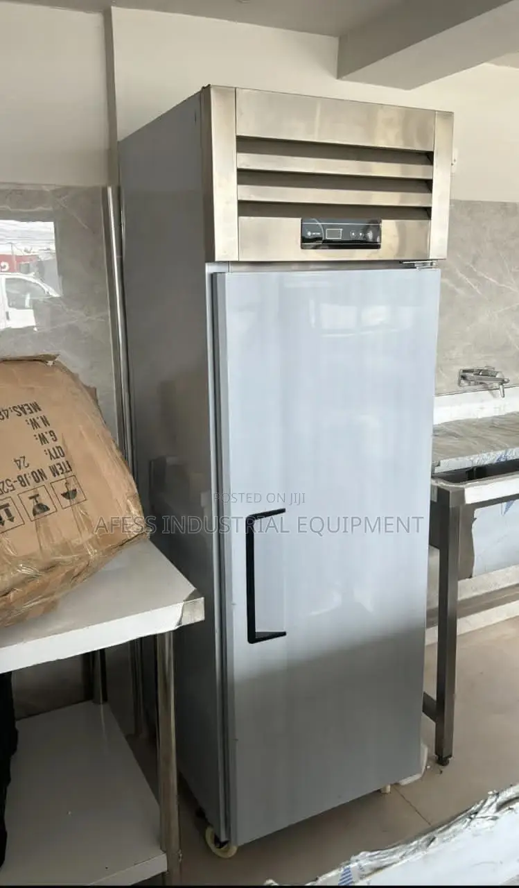 Standing Stainless Freezer
