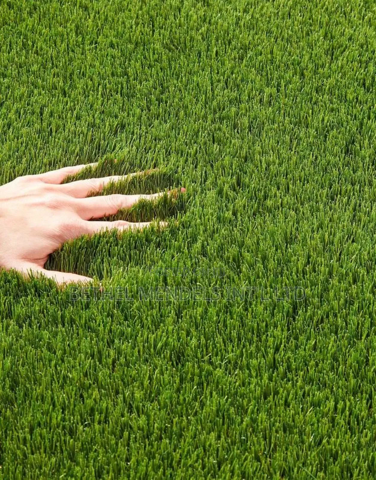 Nigeria Wholesaler of Artificial Grass Fro Wall/Floor Decor
