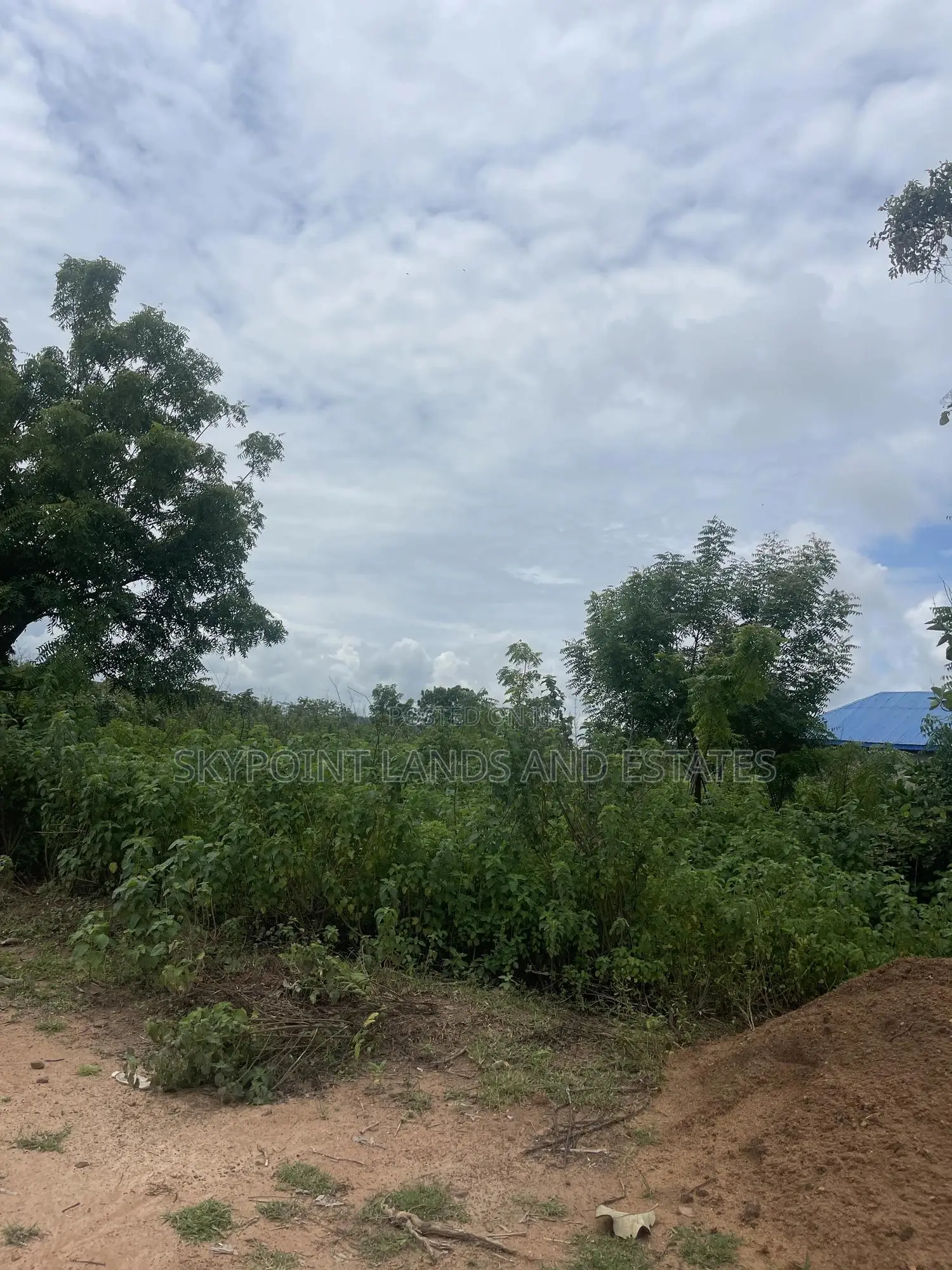 Plots Of Land