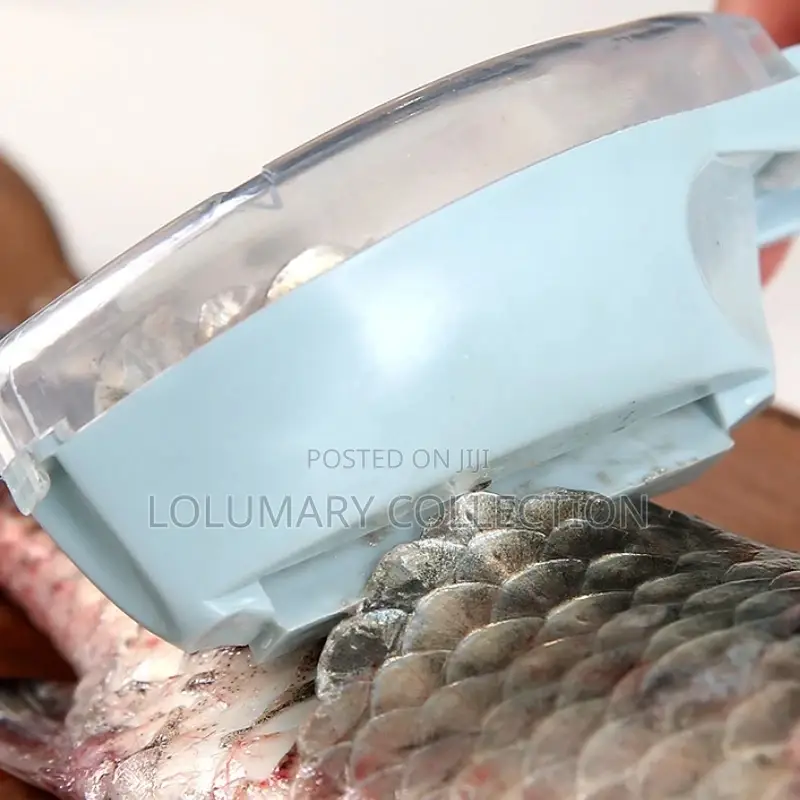 Fish Scale Scrapper / Fish Scrapper