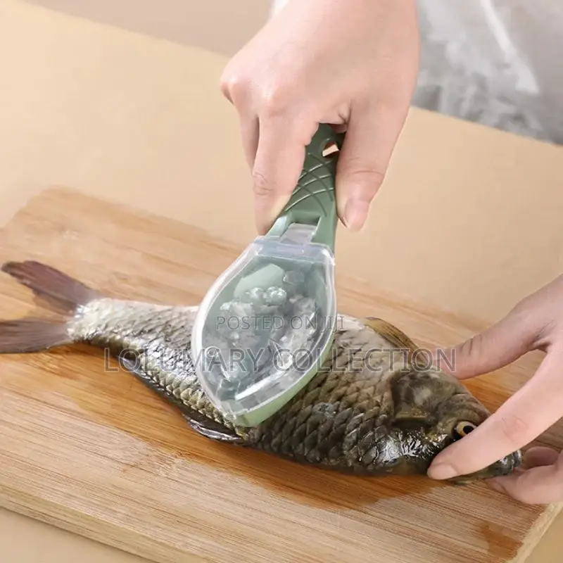 Fish Scale Scrapper / Fish Scrapper
