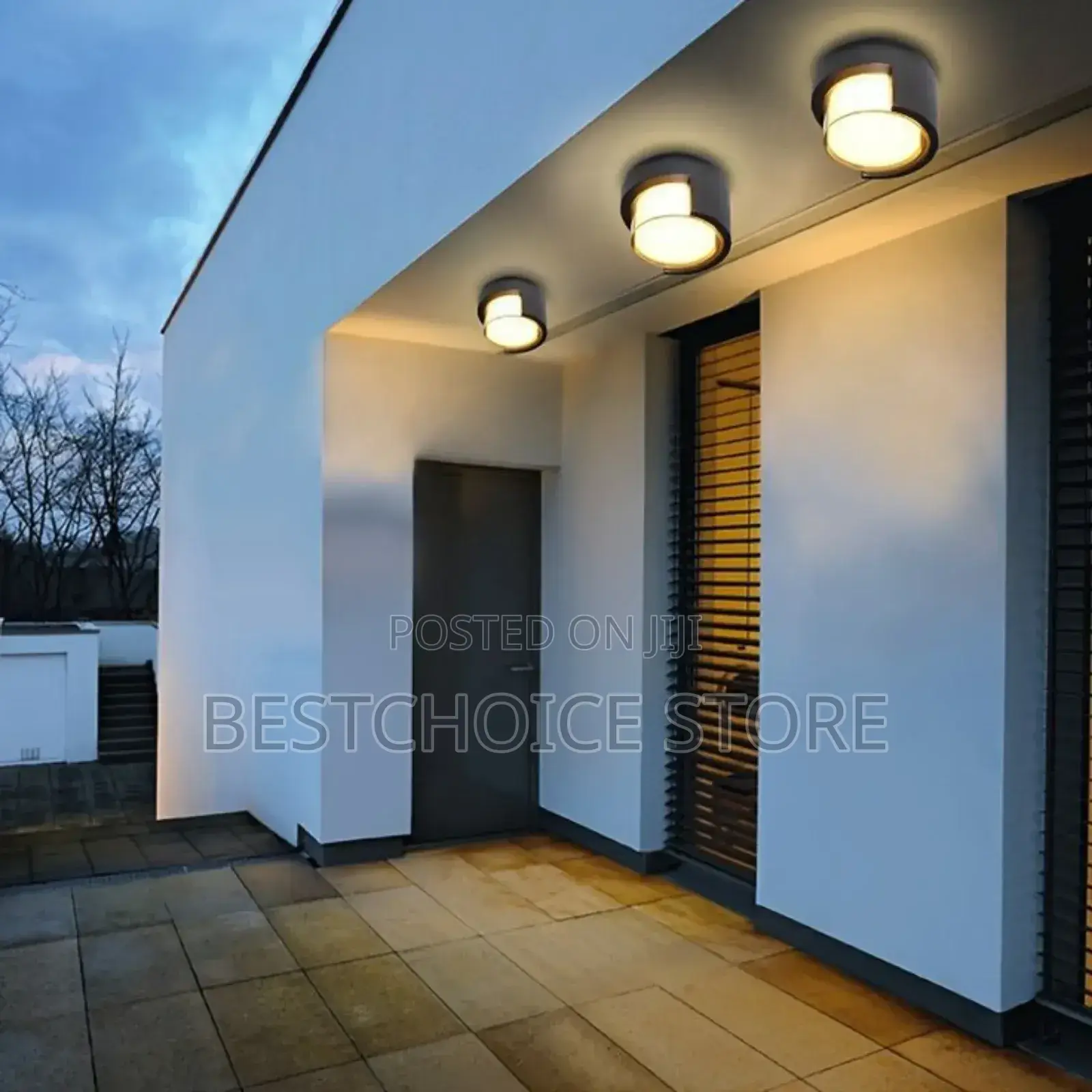 Modern Outdoor Ceiling Light