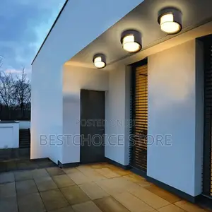Modern Outdoor Ceiling Light