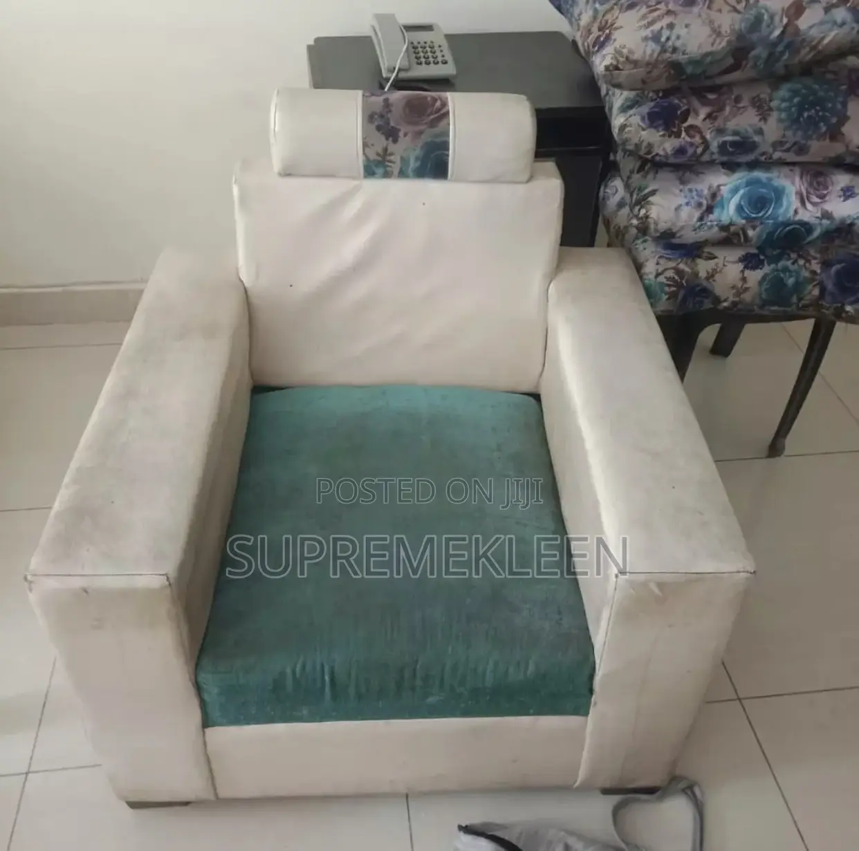 Detailed Sofa Chair Deep Cleaning