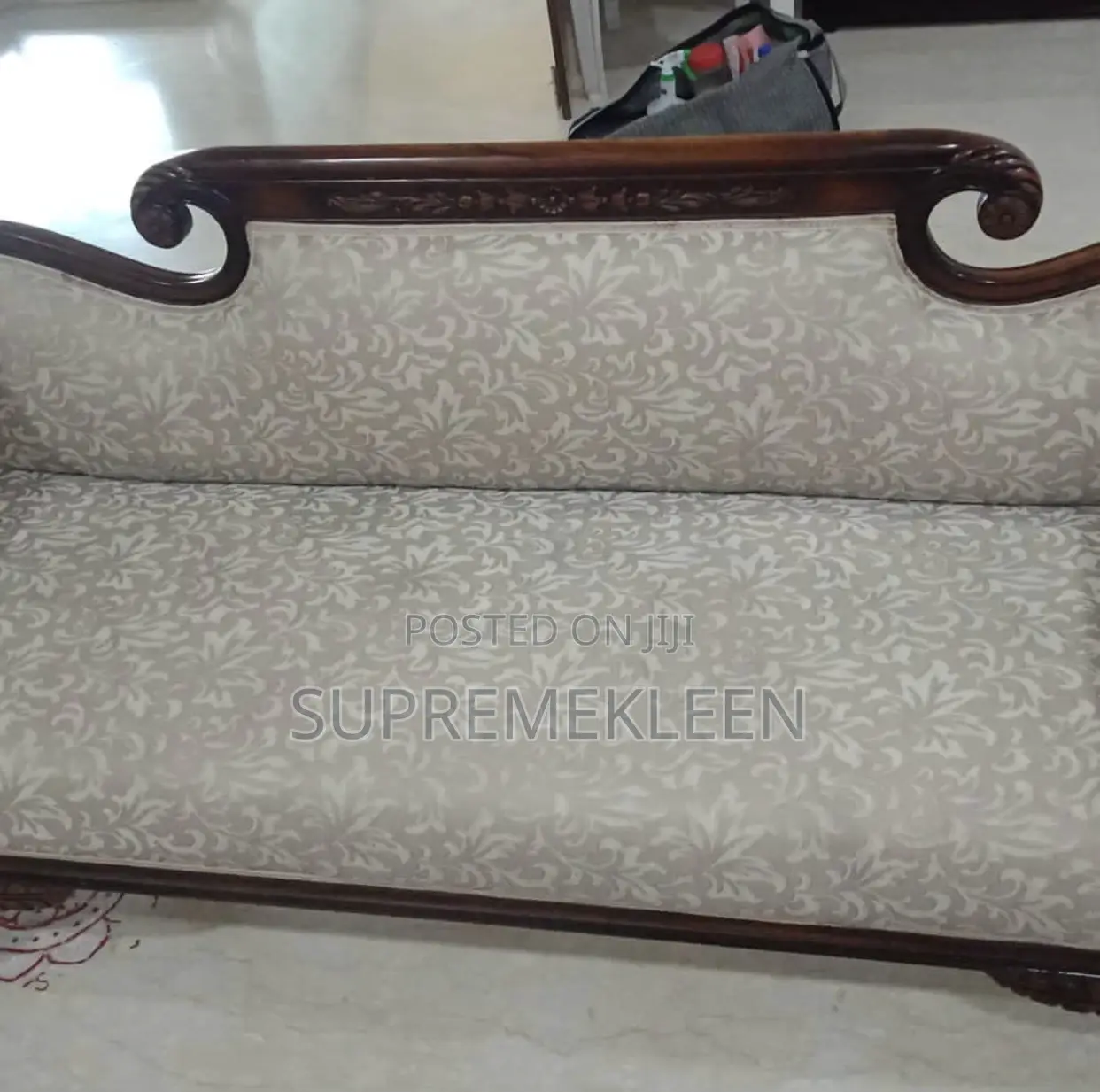 Professional in Sofa Upholstery Cleanup