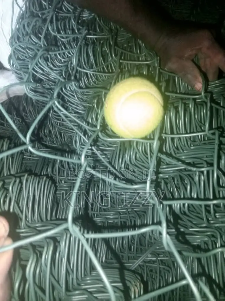 PVC Coated Chain Link Anti Tennis