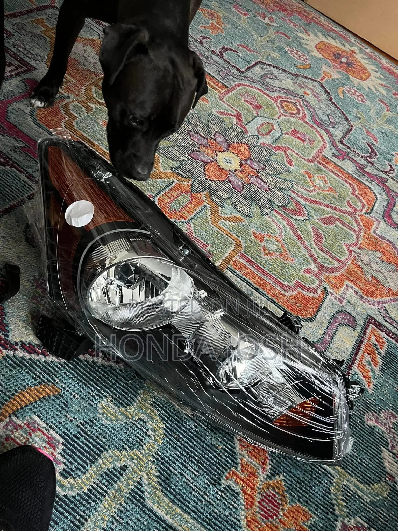 Headlights 2008- 2010 Honda Accord