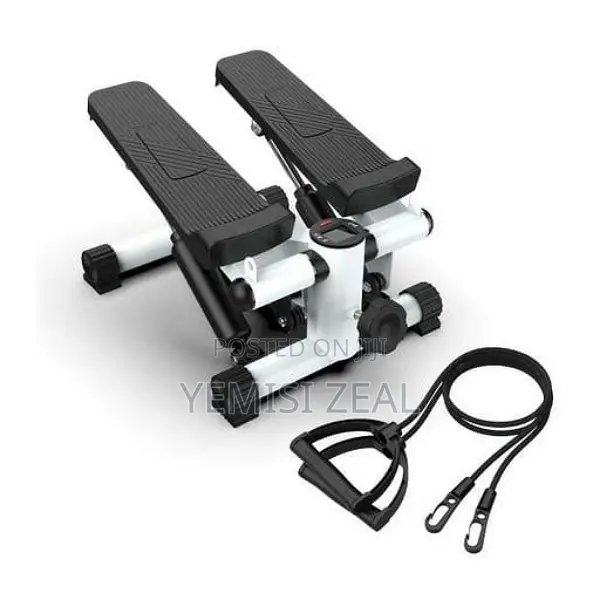 Taggy Mini Gym Stepper