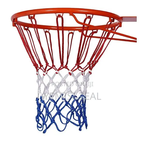 Double Basketball Rim