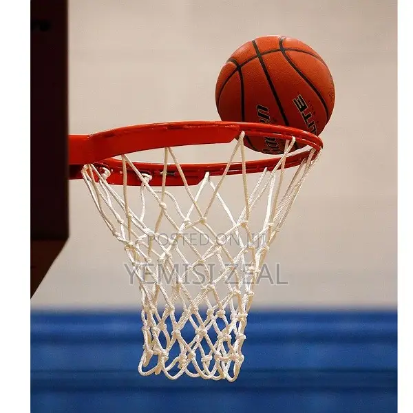 Fancy Single Basketball Rim