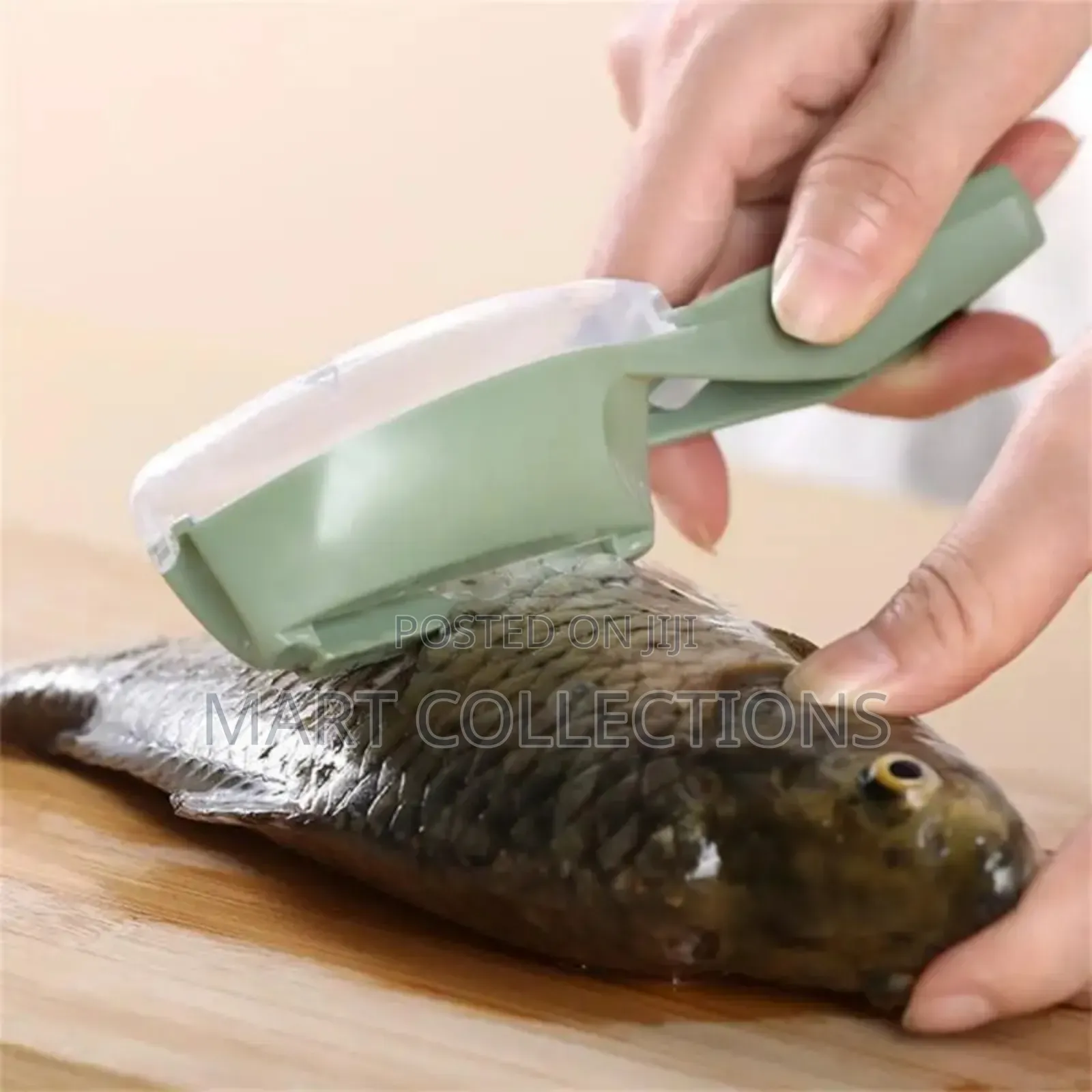 Fish Scale Scrapper for Easy Removal of Fish Scale