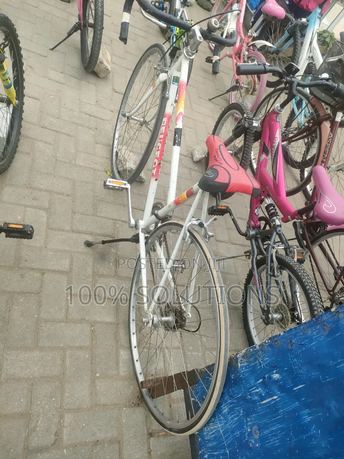 Standard Sport Bicycles for Sale