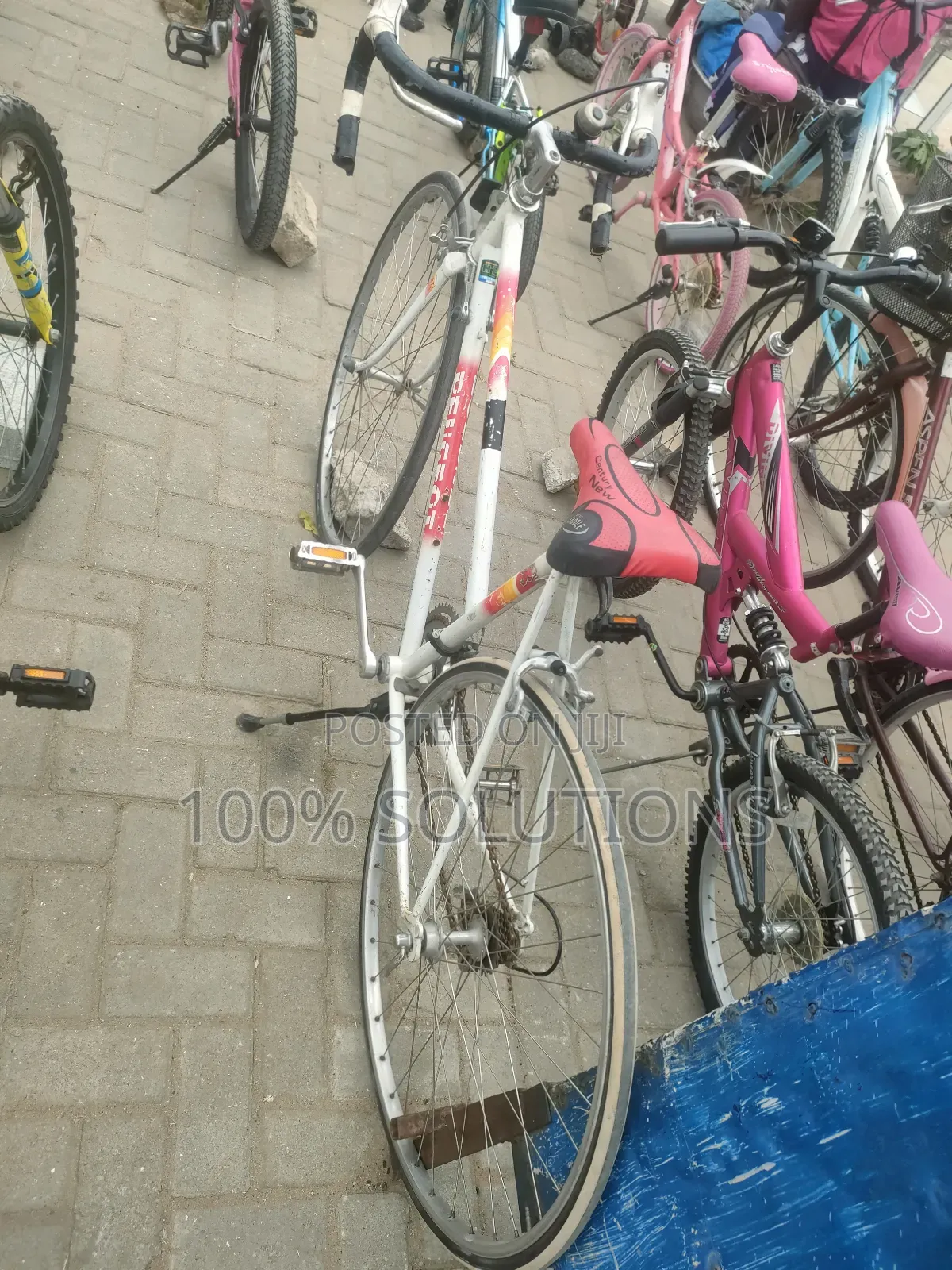Standard Sport Bicycles for Sale