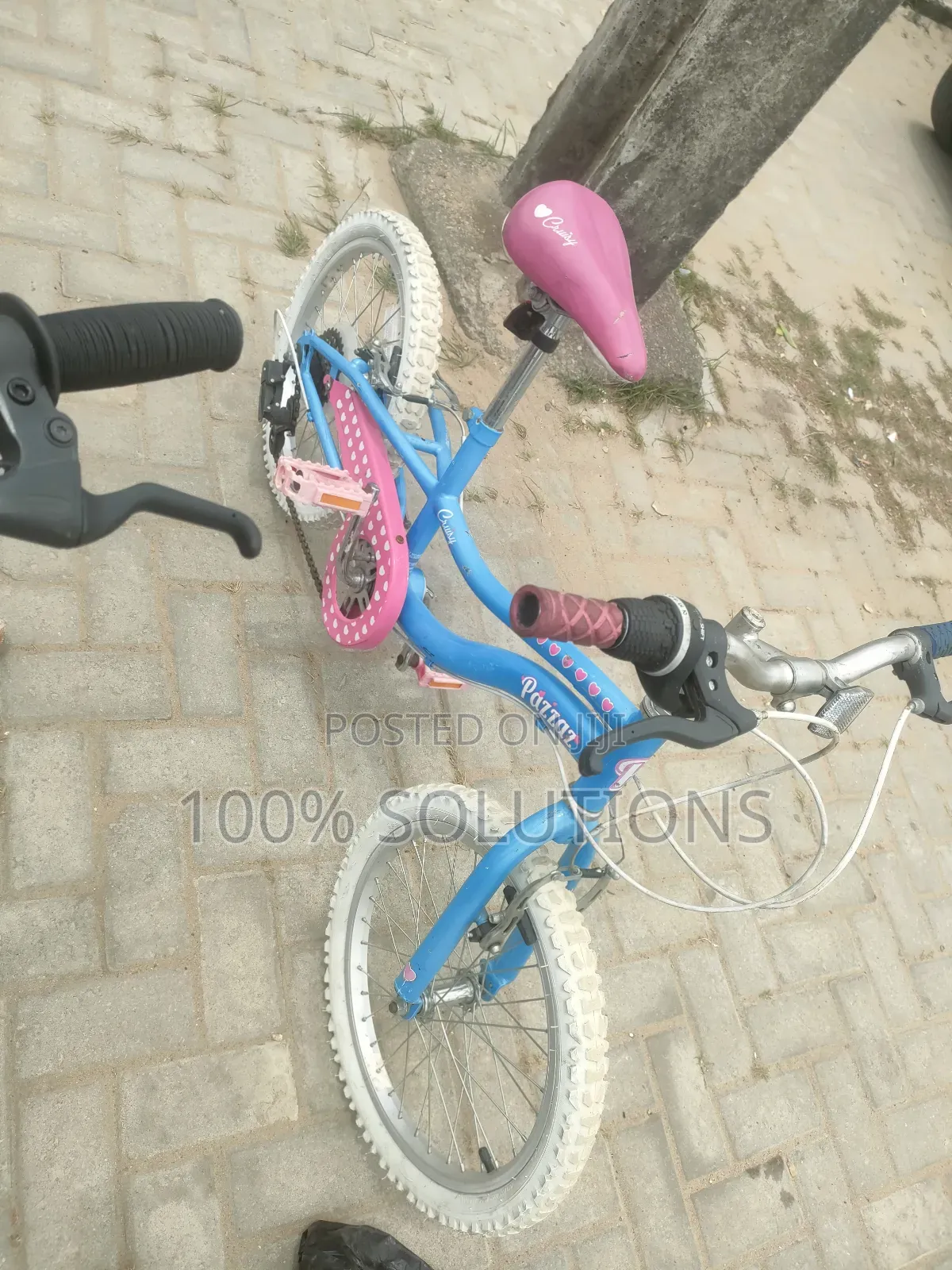 Standard Sport Bicycles for Sale