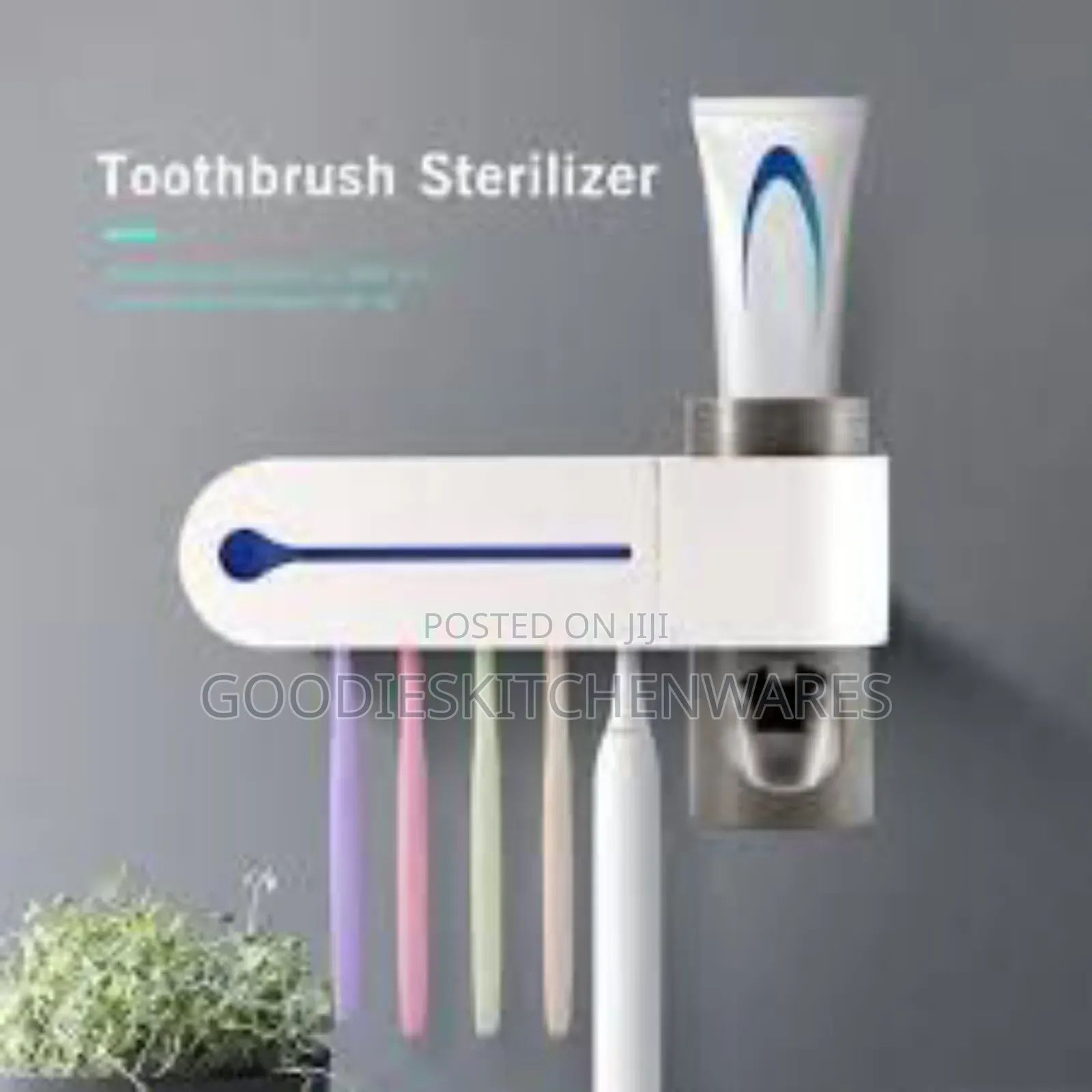 Tooth Brush Sterilizer / Toothbrush Holder
