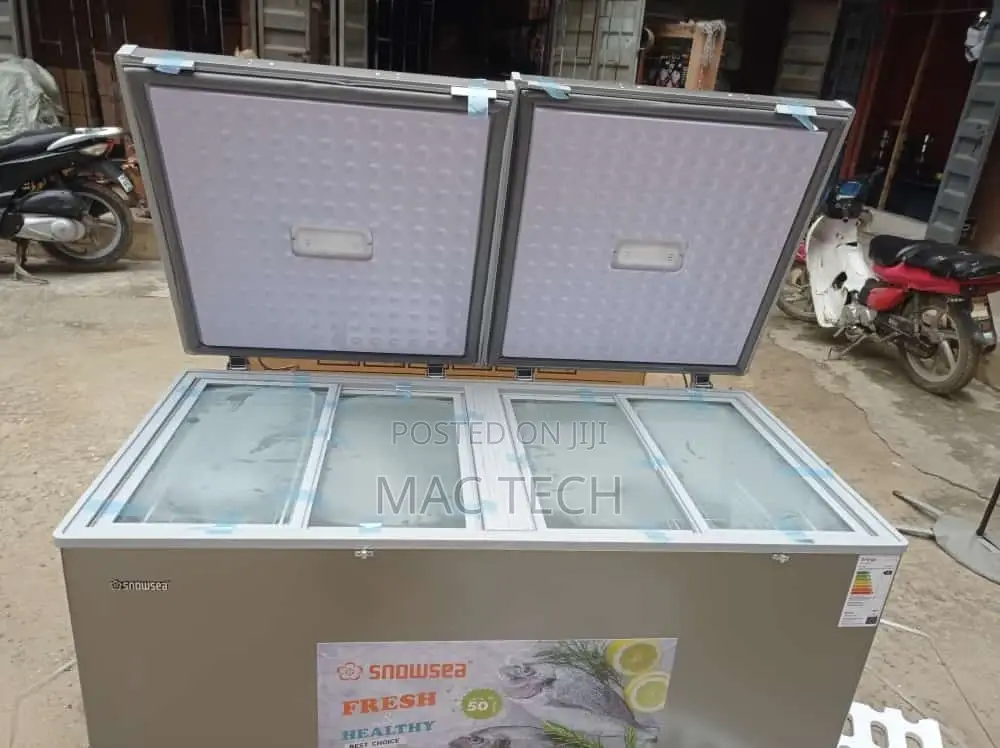 Snowsea Freezer Bd600chest Freezer.
