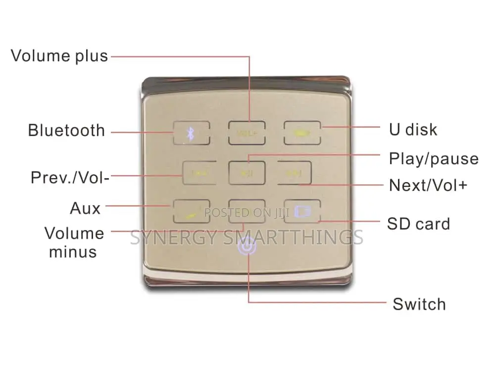 Smart Home 25w Bluetooth Wall Amp