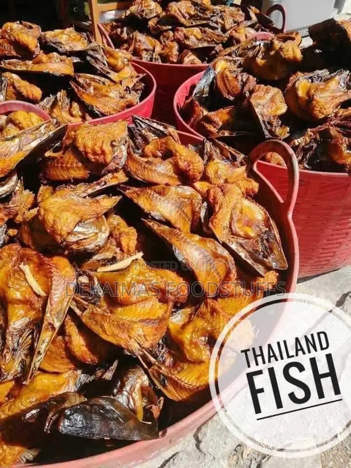 Premium Butterfly Thailand Fish for Sale in Lagos for Wholesale