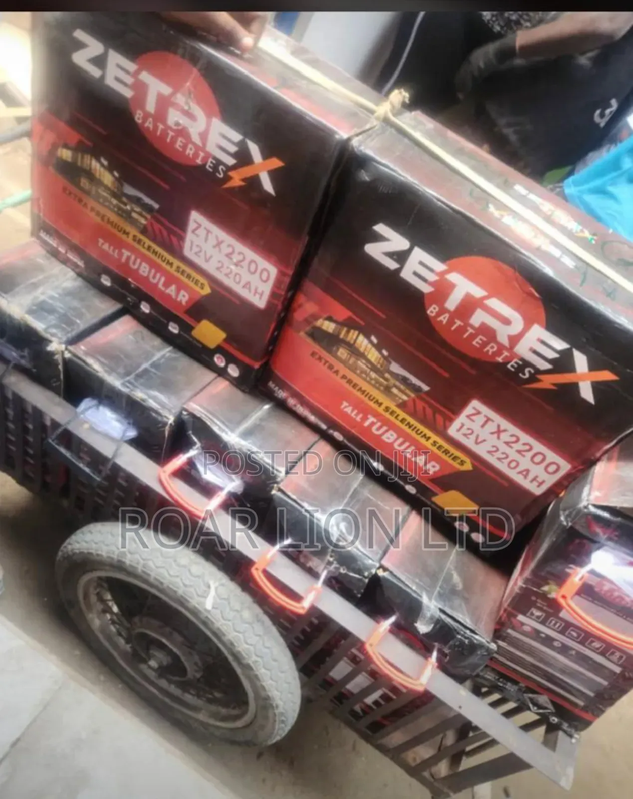 Zetrex 220 Tubular Battery