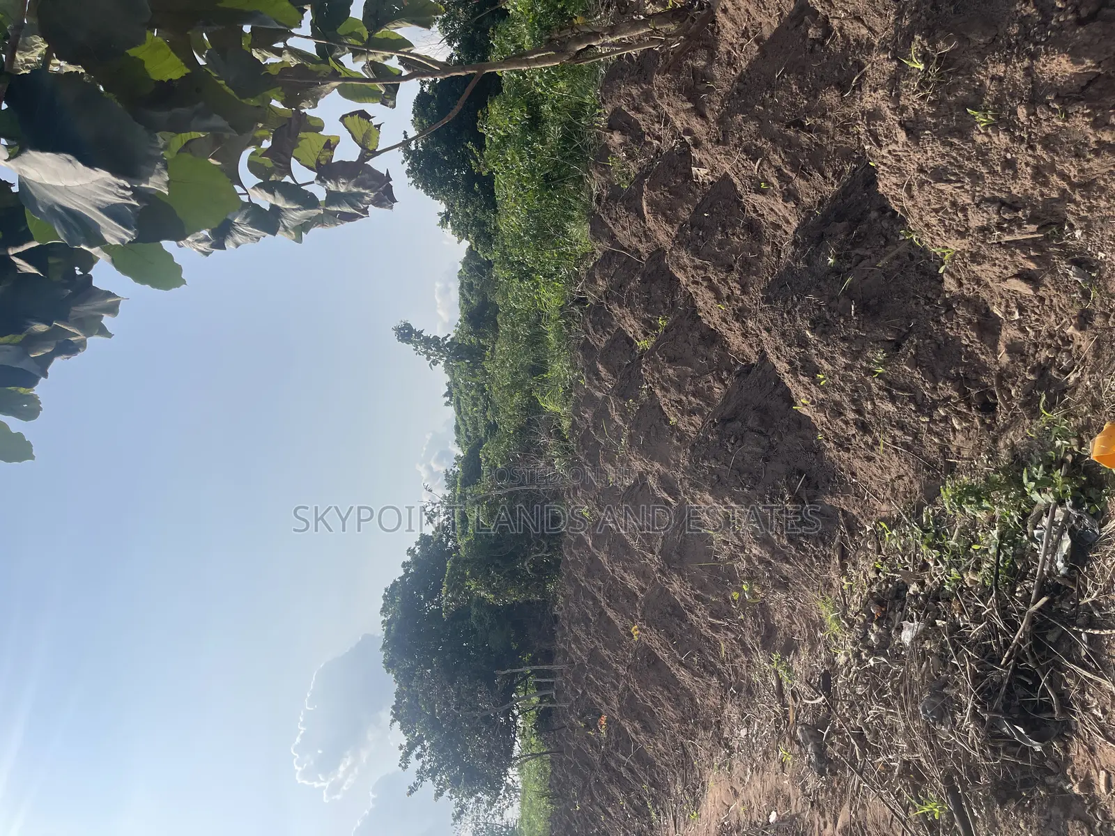 70 Acres of Land for Sale at Km13 Off Iseyin/Ibadan