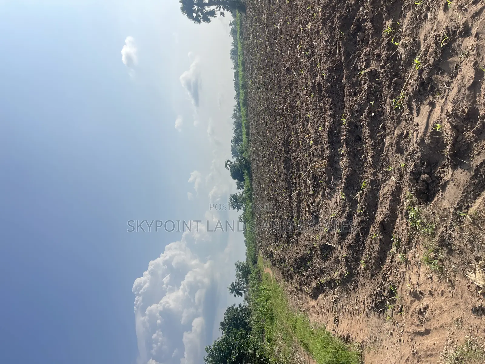 200 Acres of Farmland at Okaka, Itesiwaju LGA